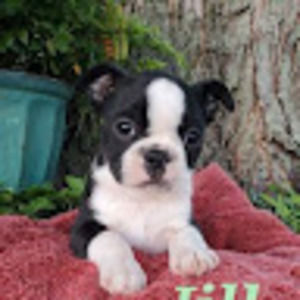 Meet your Posher, Ruthie